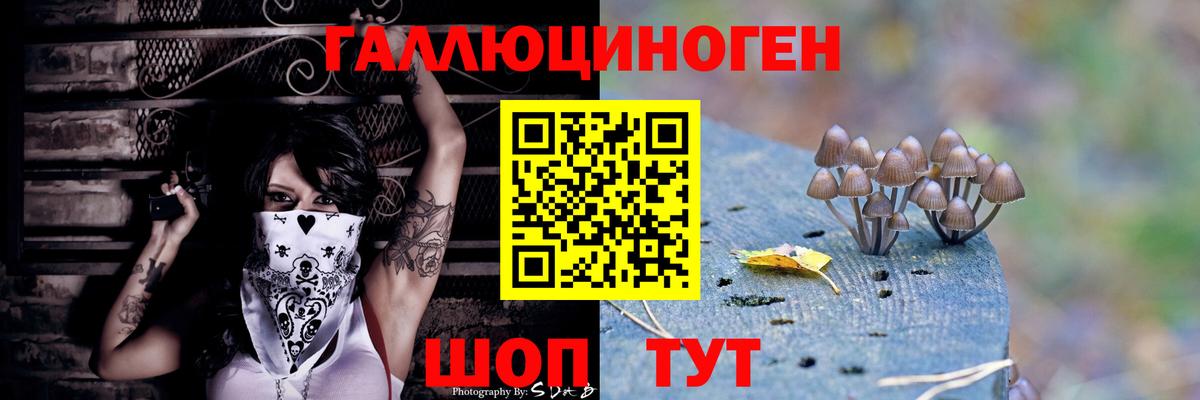 Псилоцибиновые грибы мицелий Ступино